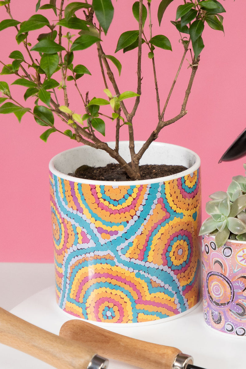 Nguru Yurntuma-wana (15cm) Ceramic Plant Pot